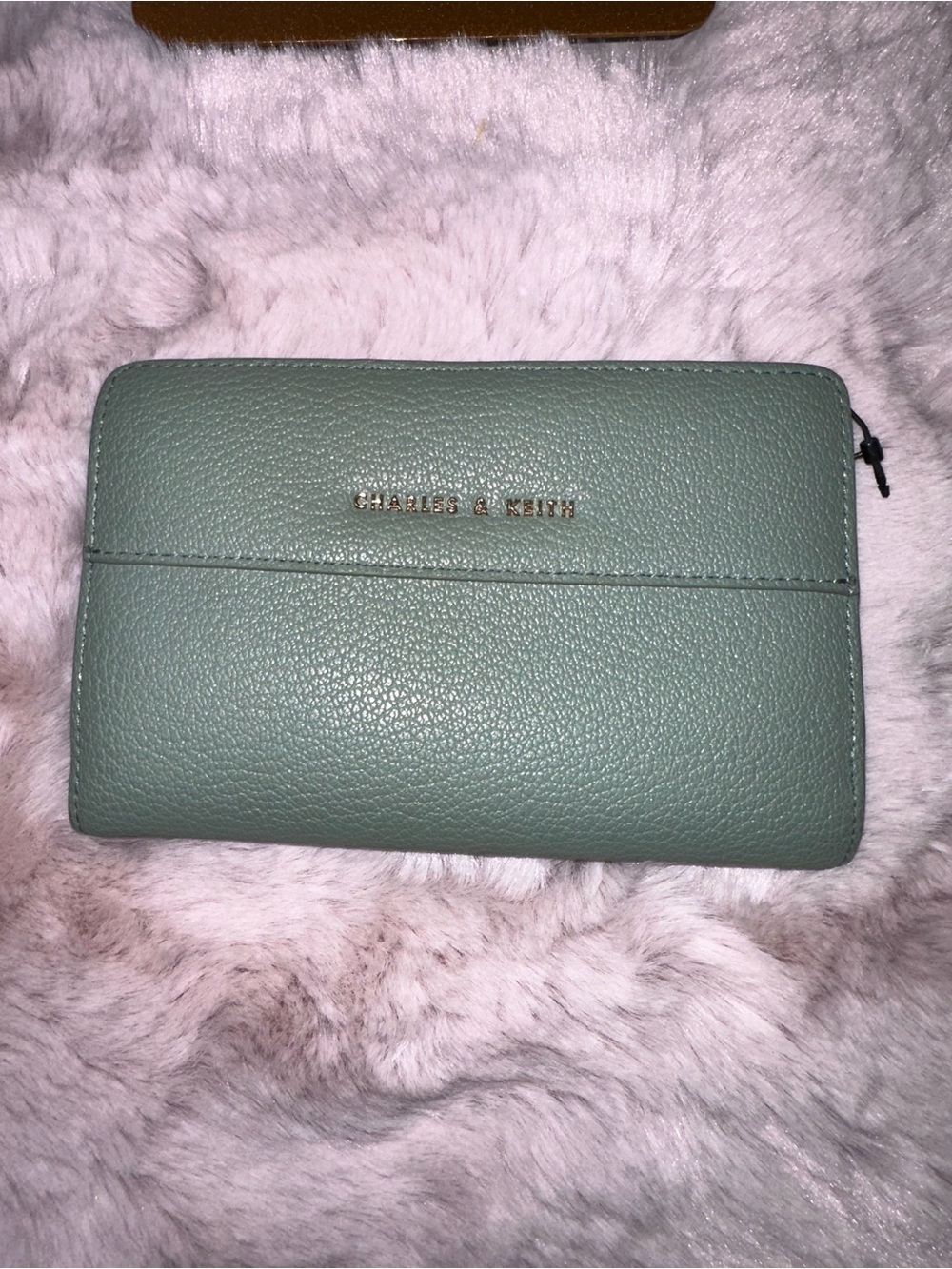 CHARLES & KEITH Sage Green Long Wallet Gold Hardware